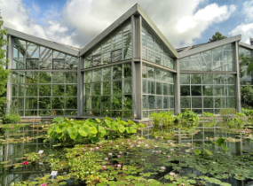 서울식물원, 열대 온실관 리뉴얼 오픈