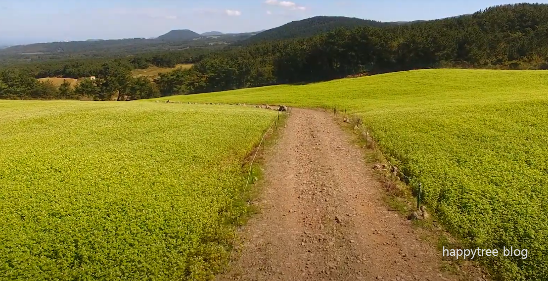 폭싹 속았수다 제주도 촬영지