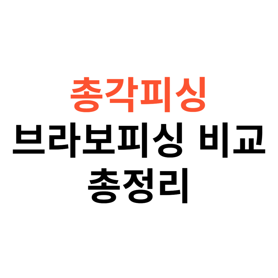 무창포 총각피싱 vs 브라보피싱