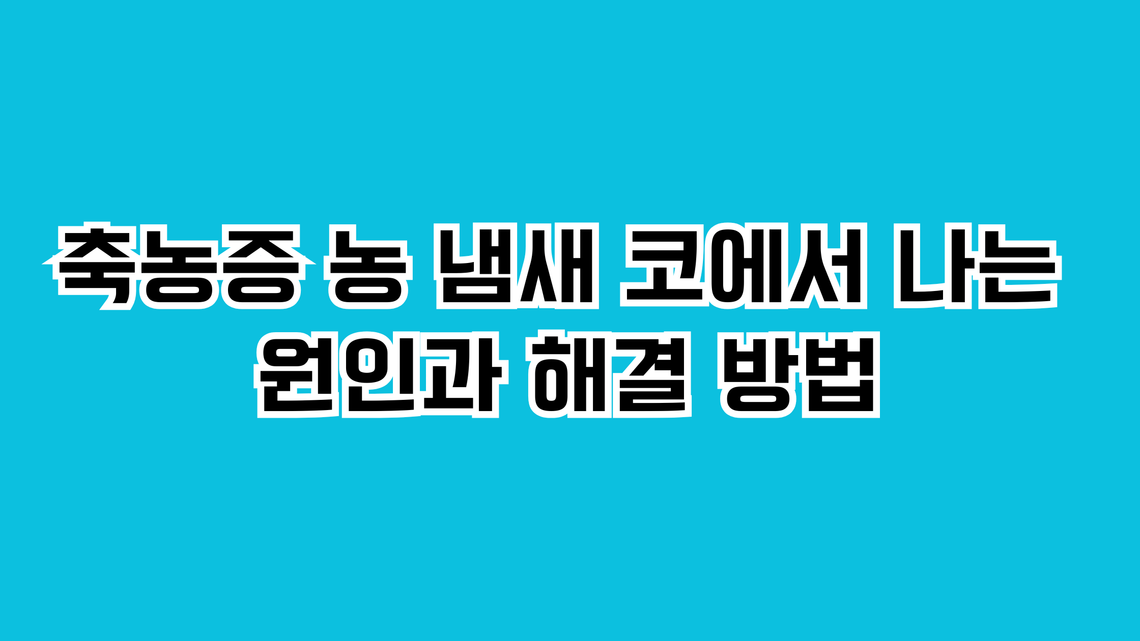 축농증 농 냄새