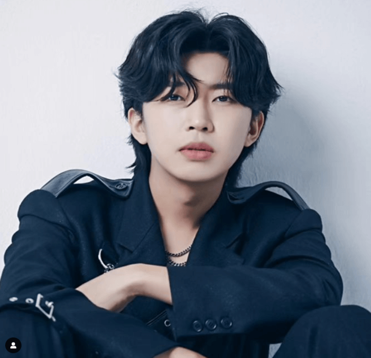 임영웅 콘서트