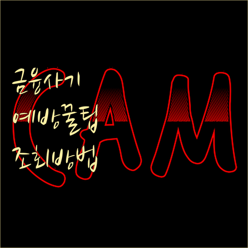 놓치면 손해 신한은행 입출금 내역 조