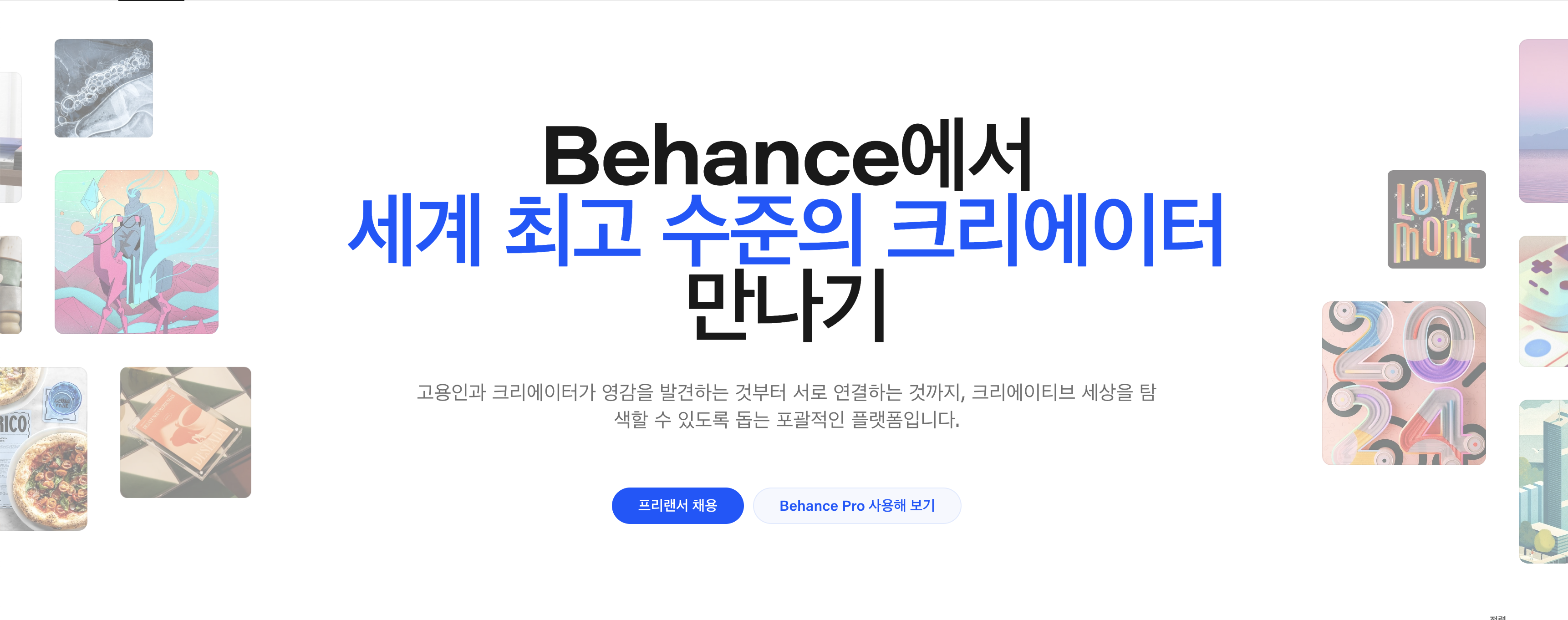 Behance 사진