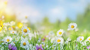 흰옷 얼룩 제거하는 법! 집에서 간단하게 새옷처럼 만드는 꿀팁