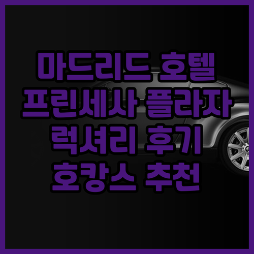 마드리드 메리어트 호텔 프린세사 플라..