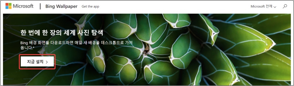 무료 배경화면 다운