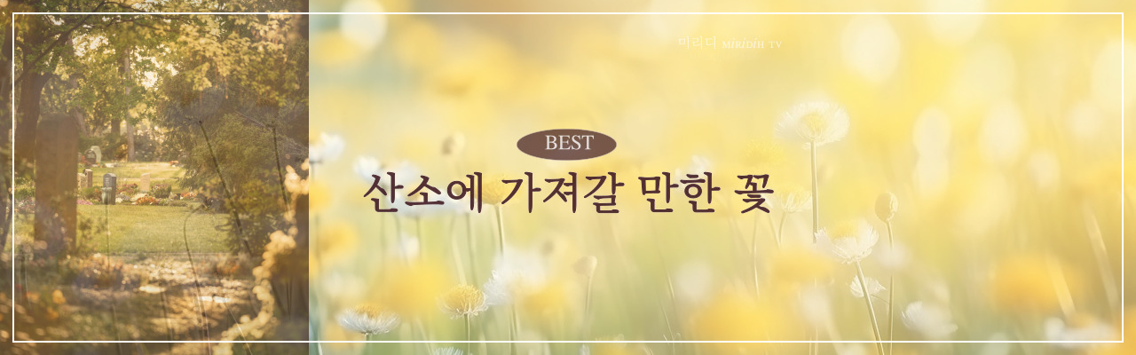 산소에 가져갈 만한 꽃