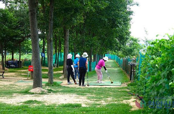 충청남도 천안시 풍세파크골프장 소개