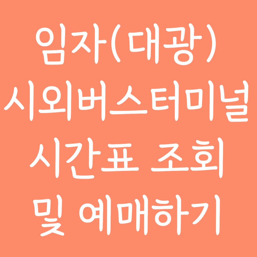 임자(대광) 시외버스터미널 시간표조회 및 예매하기