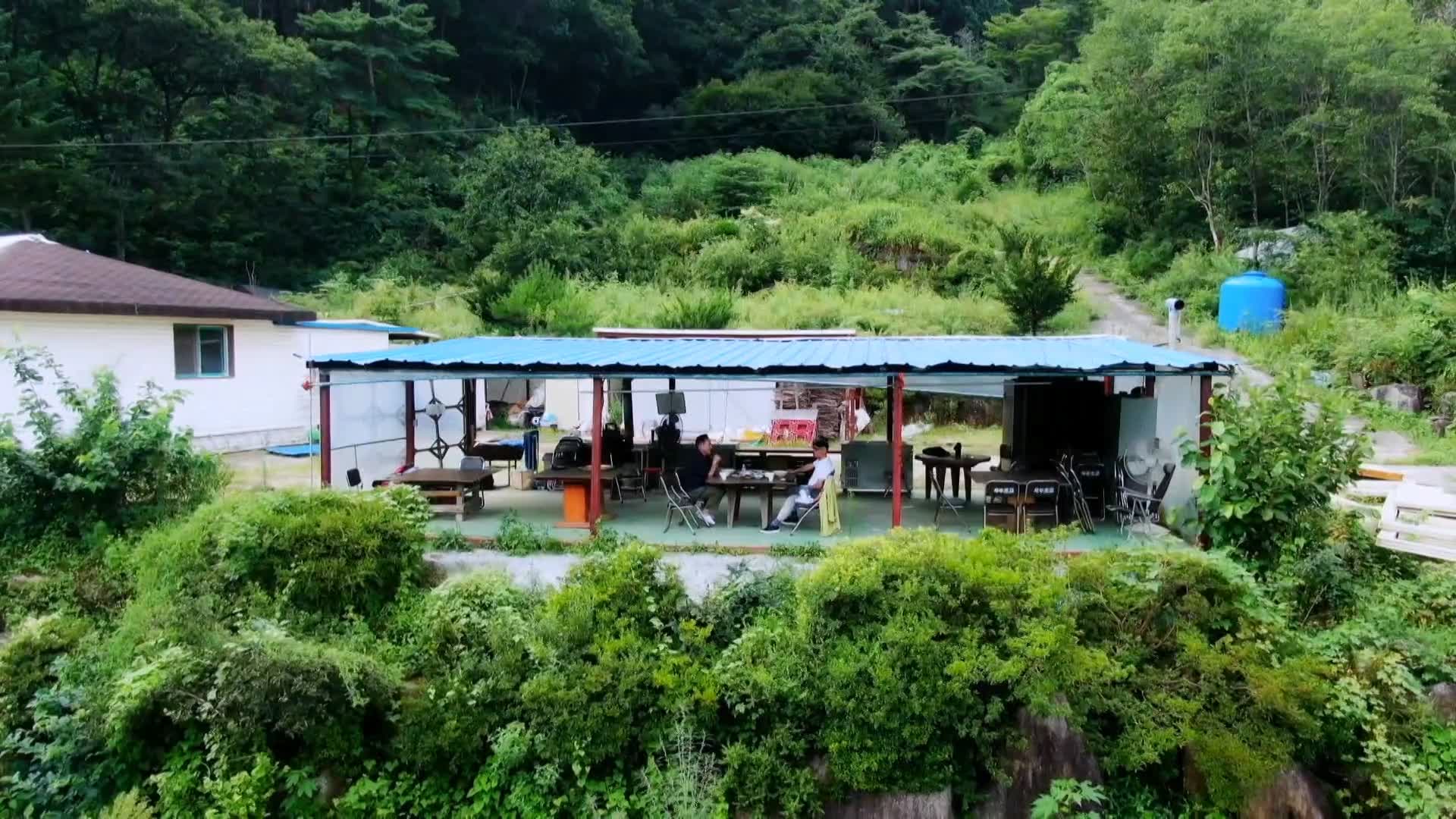 식객 허영만 백반기행 169회 표창원 편 주인장이 직접 캔 7가지 나물로 만든 산채비빔밥 강원 화천 비수구미 마을 맛집 소개