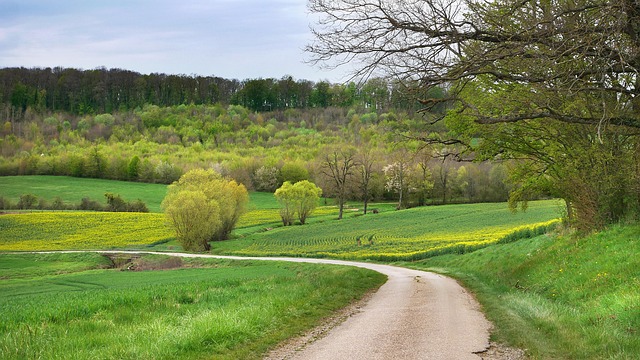 현황도로, 사실상 도로 인정될까?