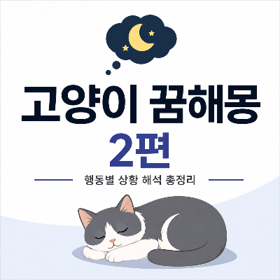 고양이 꿈해몽 2편 행동별 의미 총정리, 잠자는 고양이 일러스트가 들어간 썸네일 이미지.