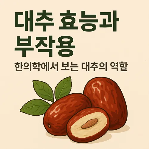 대추 효능과 부작용, 한의학에서 보는 대추의 역할 썸네일