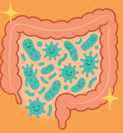 장 건강에 관한 사진