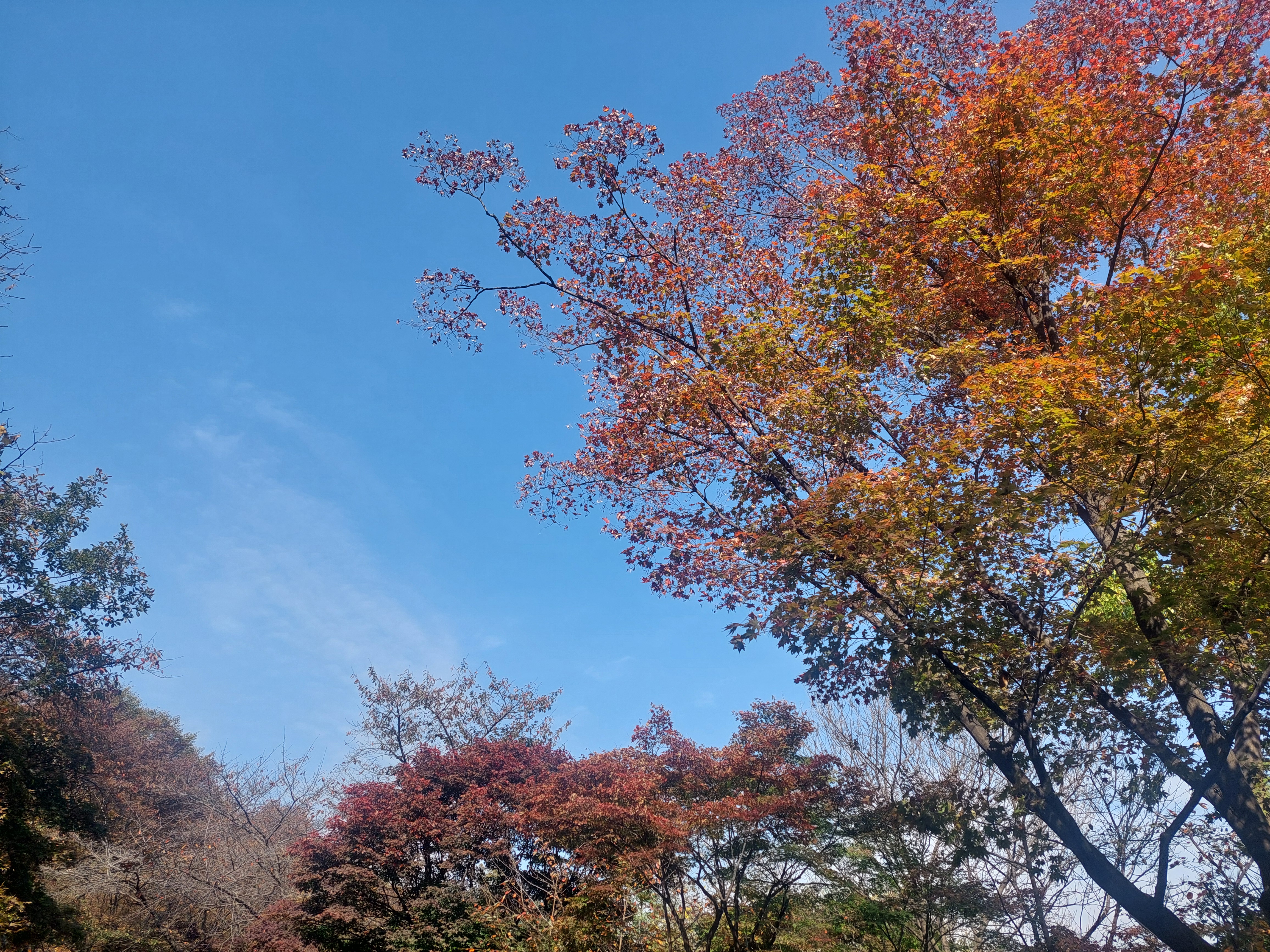 남산