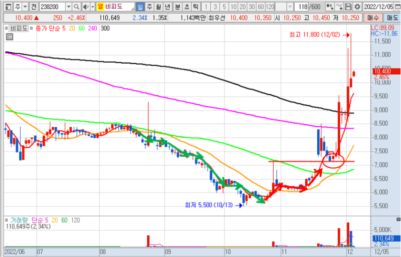 비피도 일봉차트
