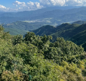 가족과함께할국내여행지