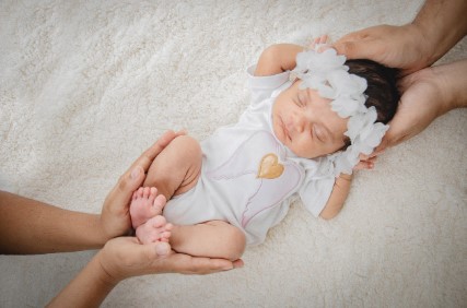 영양플러스 사업