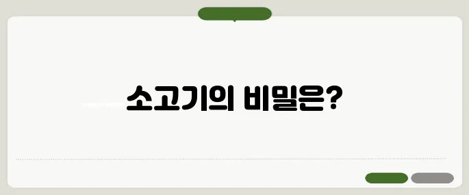 소고기 효능 철분이 많아서 빈혈 예방에 좋을까