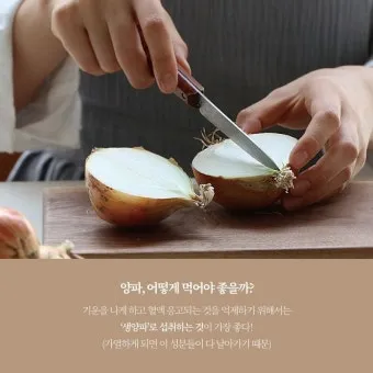 양파 먹는 방법과 양파 효능 양파 부작용 완전 가이드_6