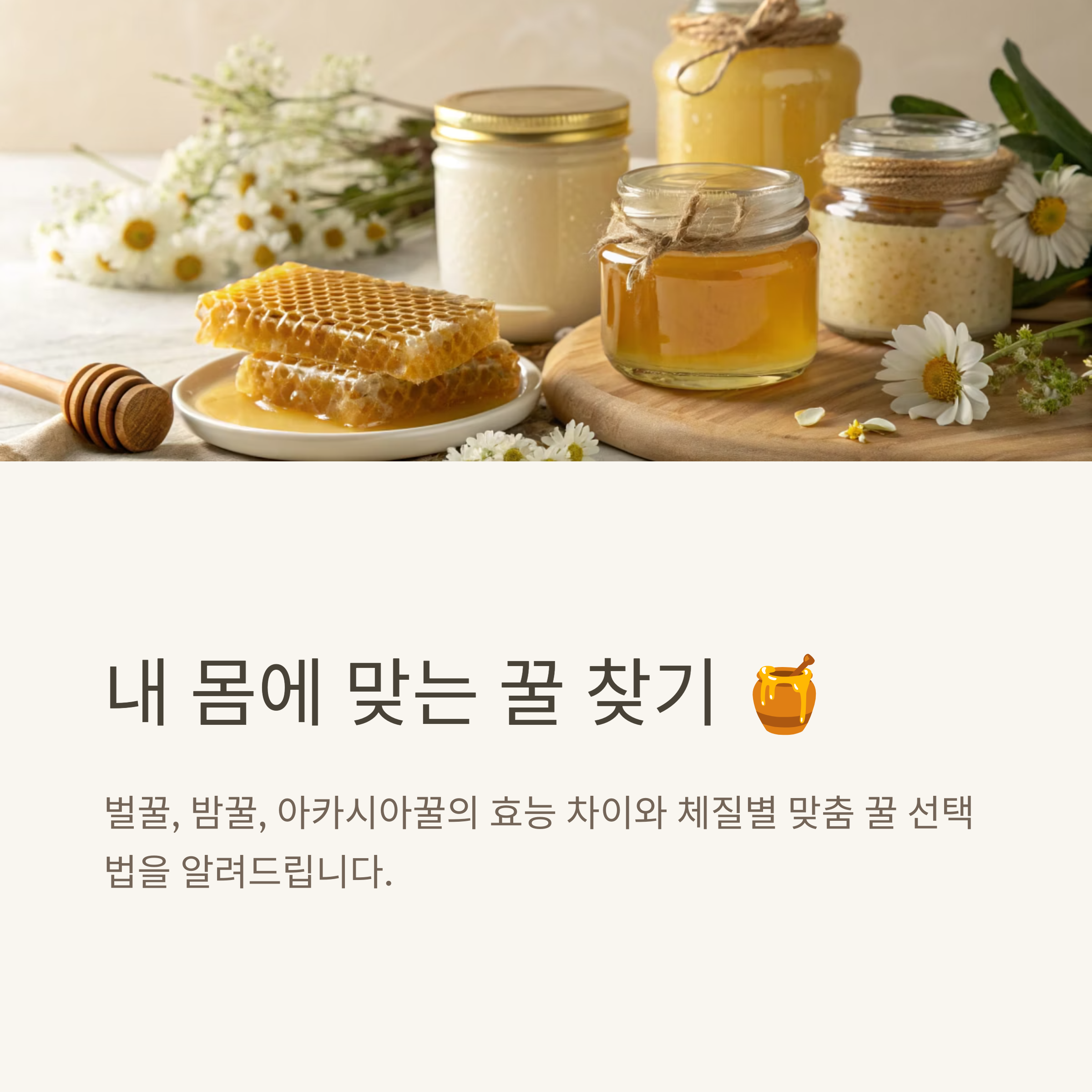 벌꿀, 밤꿀, 아카시아꿀의 진짜 효능