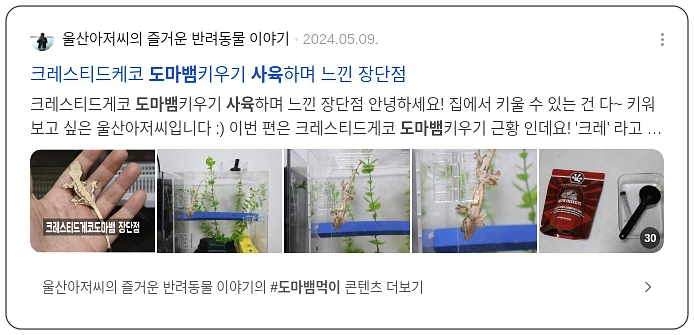 도마뱀 사육_2_subsection