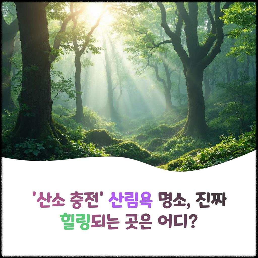 '산소-충전'-산림욕-명소,-진짜-힐링되는-곳은-어디?