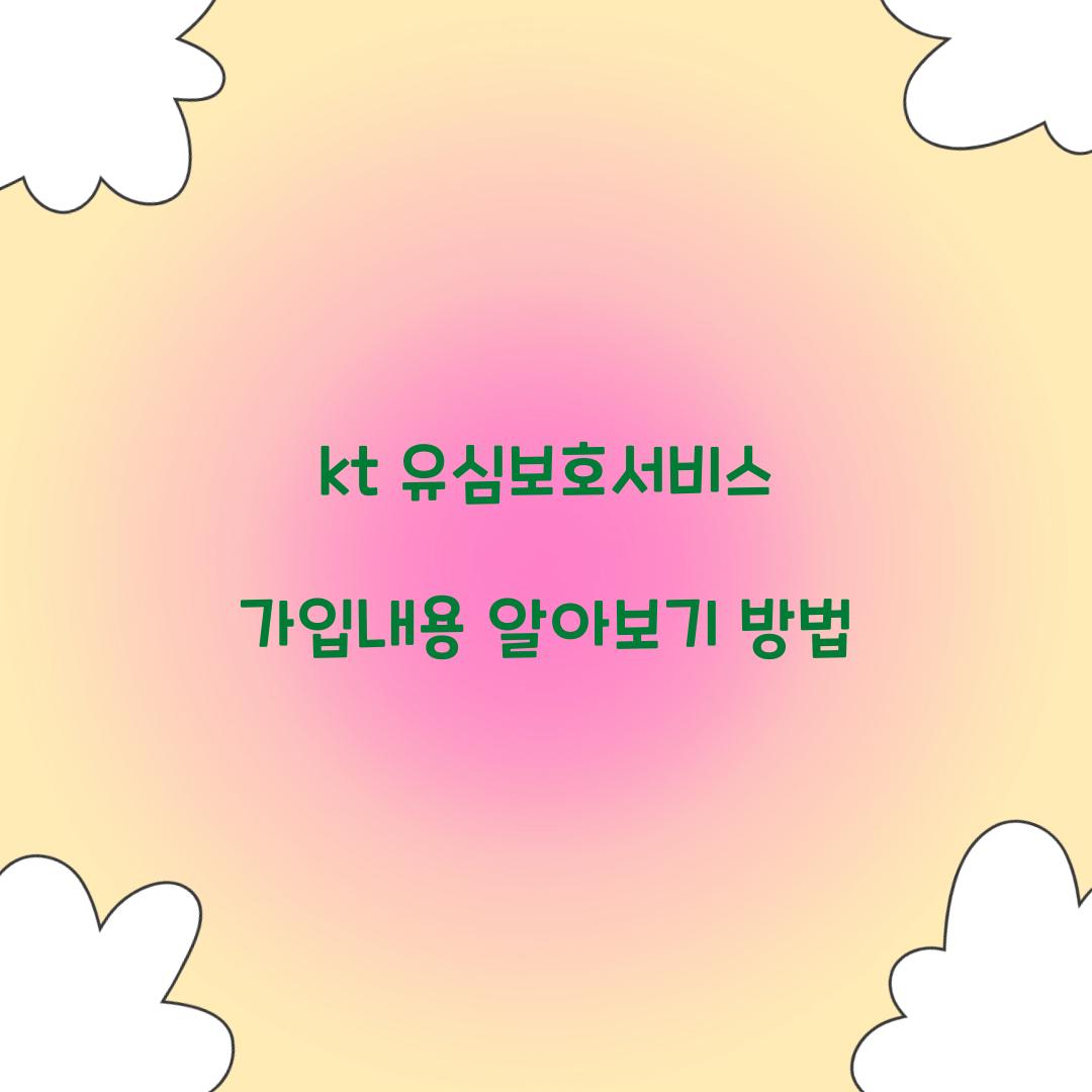 kt 유심보호서비스 가입내용