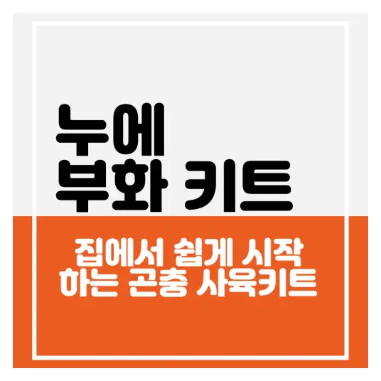 이게 집에서 가능하다고요? 누에 키우기 키트로 직접 키워봤어요