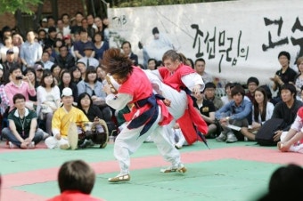 해외 태껸 보급 현황