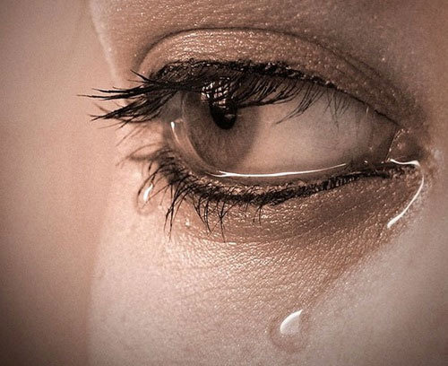 눈물의 효능 효과, 눈물의 역할