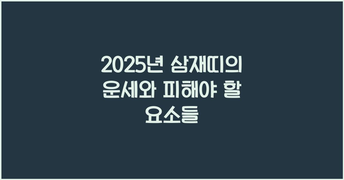 2025년 삼재띠
