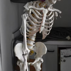 허리 디스크 치료법 진단 기준 예방법