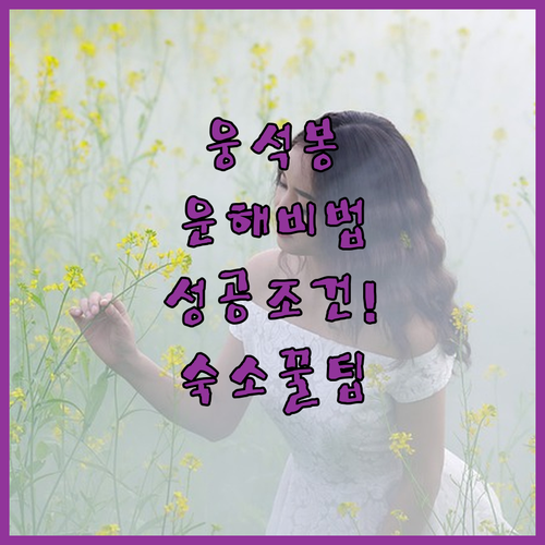 지리산 산청 웅석봉 운해 기상 조건 ..
