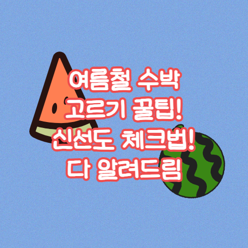 여름철 수박 고르기 꿀팁