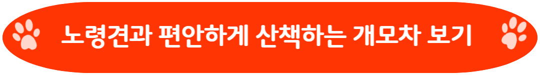 노령견과 편안하게 산책하는 개모차 보기