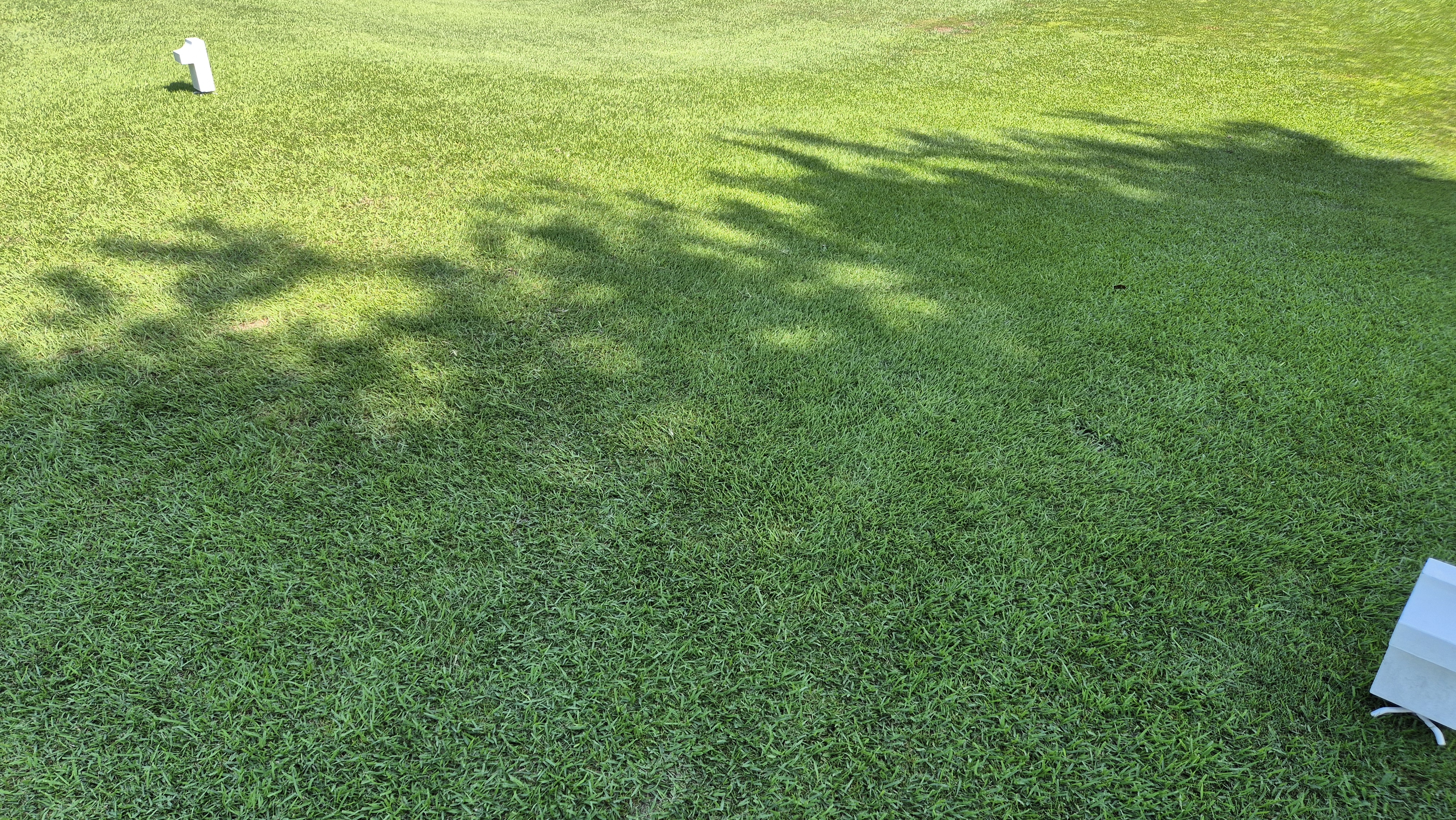 골프존카운티 화랑 라운드 후기