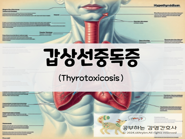 성인간호_갑상선 중독증(Thyrotoxicosis) 원인, 증상, 치료, 간호진단
