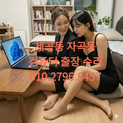자곡동 세곡동 컴퓨터수리