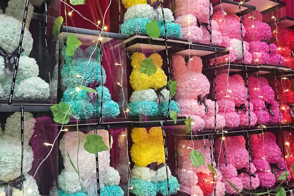 바니베어뮤지엄