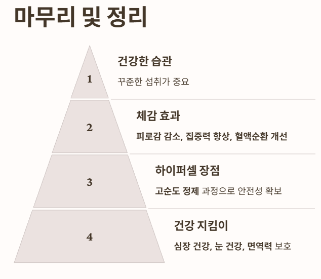 마무리 및 정리