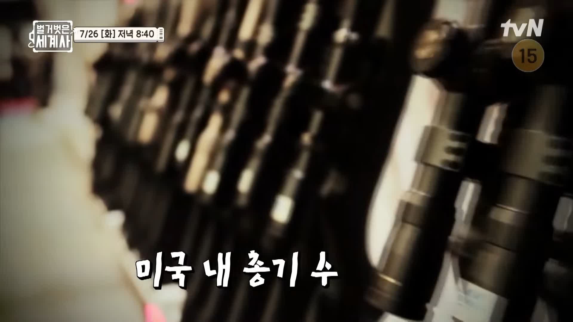 벌거벗은 세계사 총기 사건을 막는 총기규제 미국이 못하는 5가지 이유