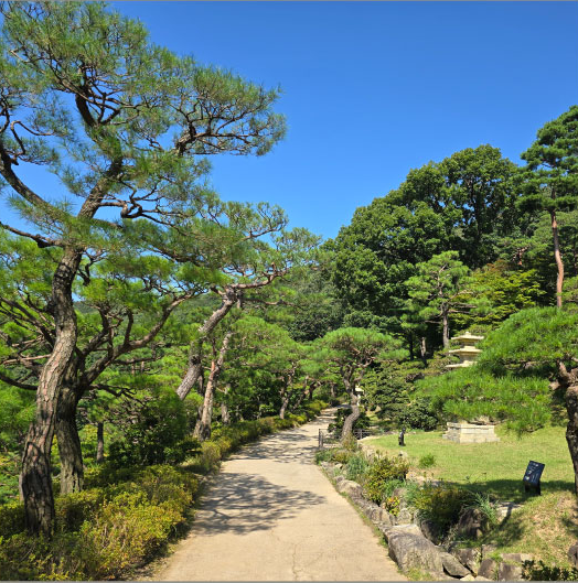 화담숲 모노레일 예약방법