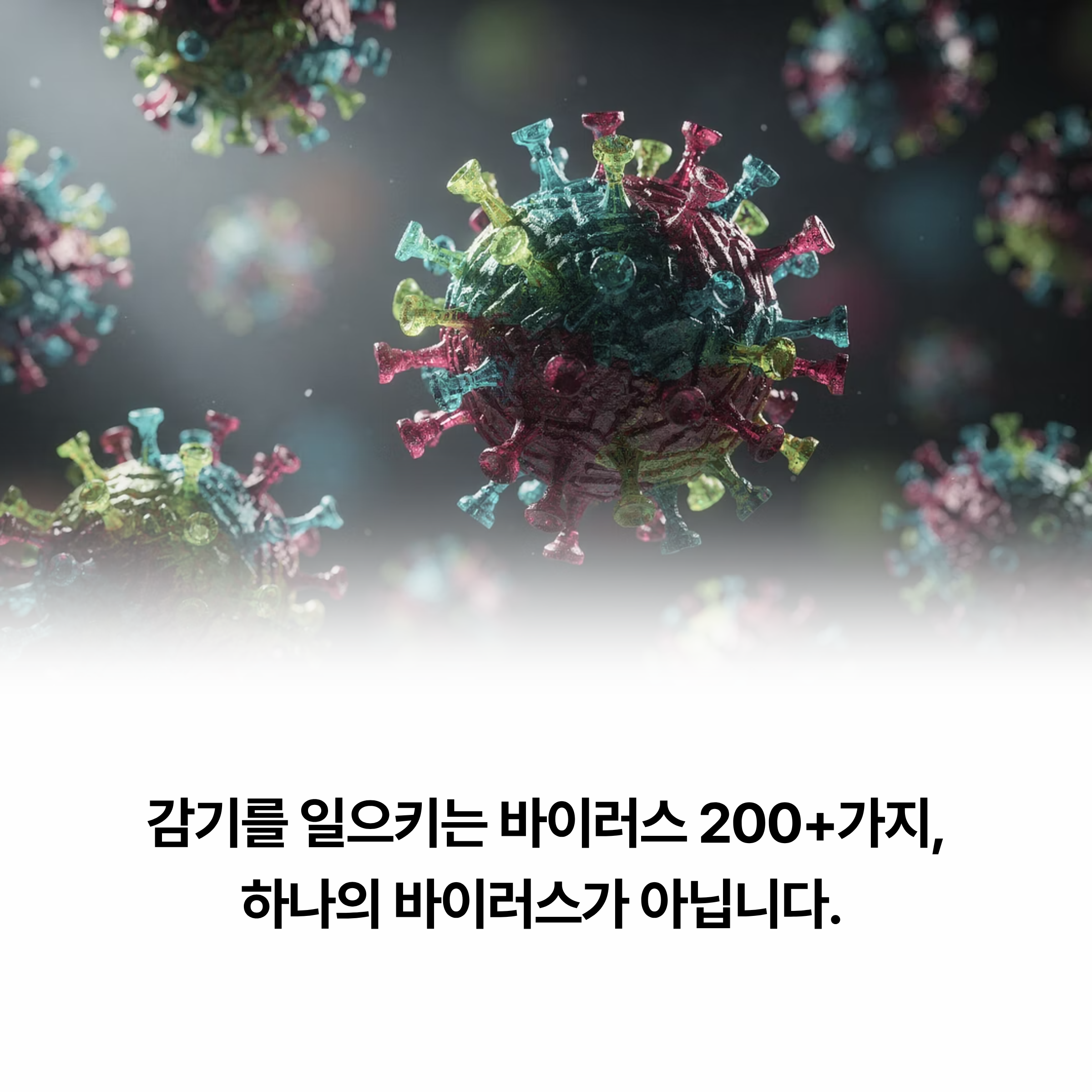 감기 바이러스는 몇 종류