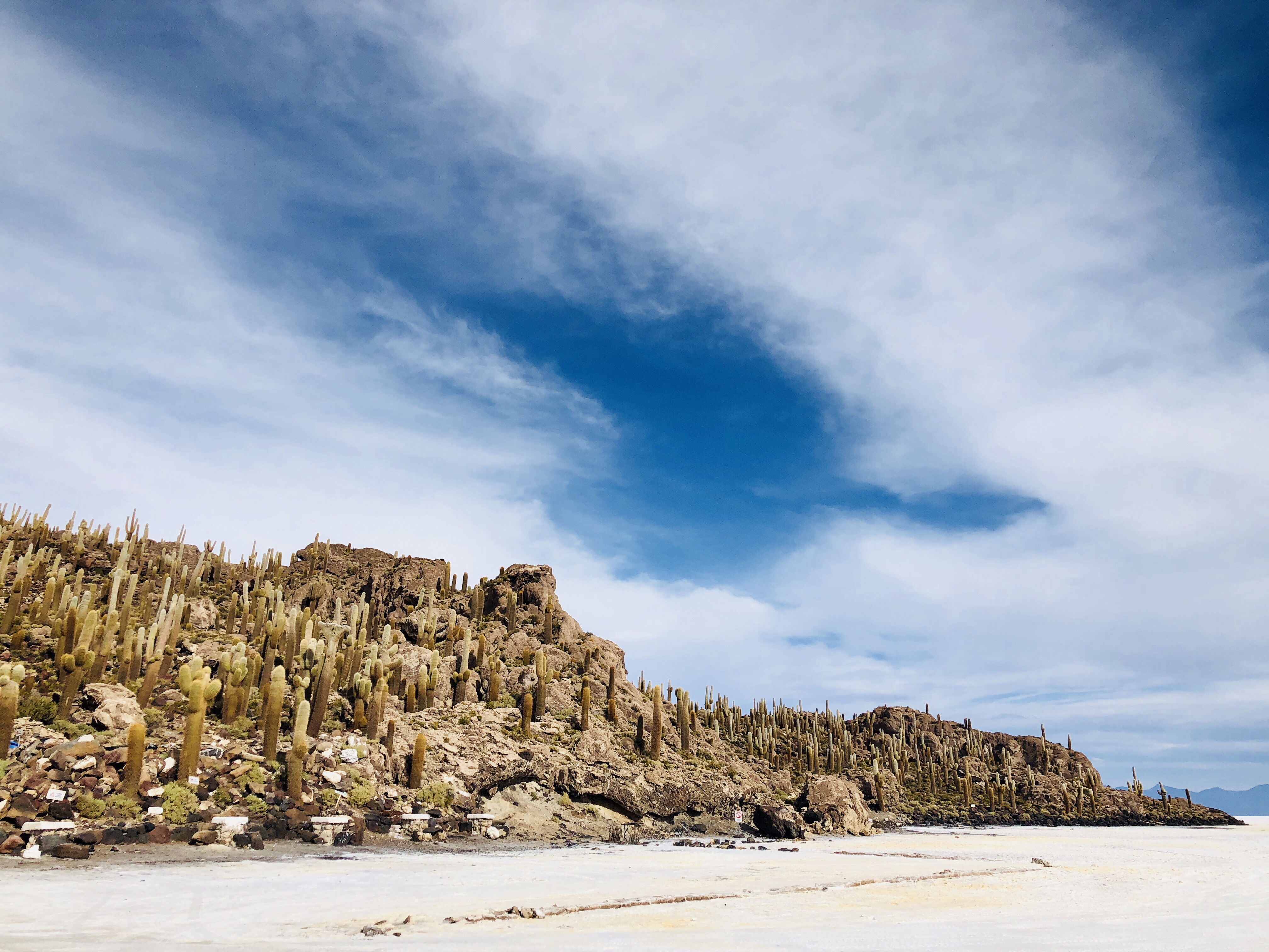 우유니 잉카와시 섬