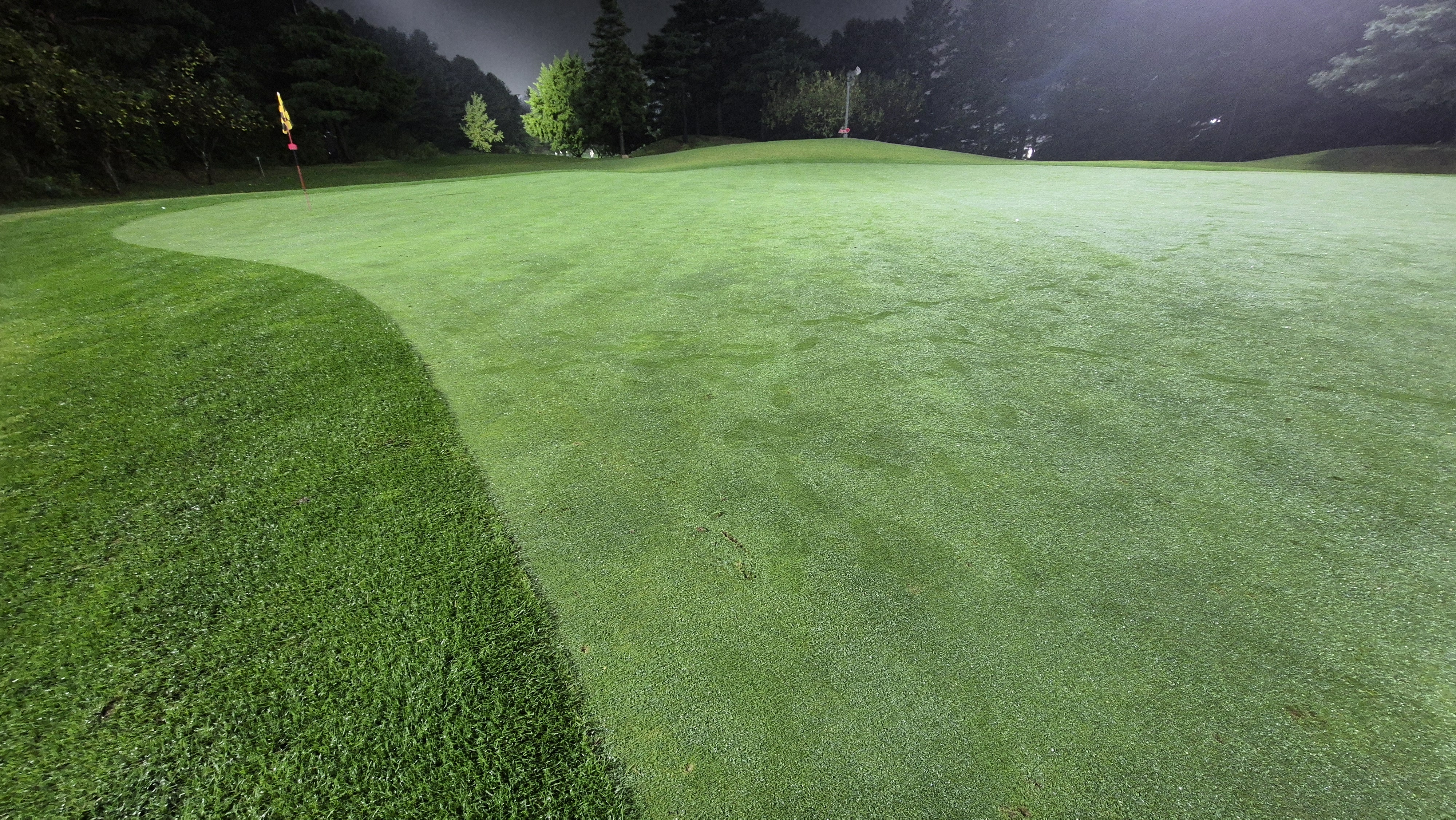 블루원용인cc 그린빠르기 및 난이도