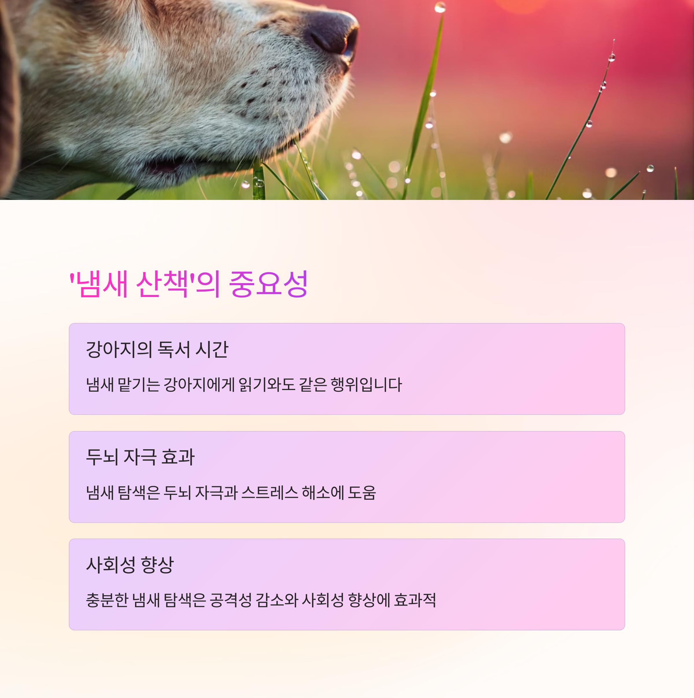 냄새 산책