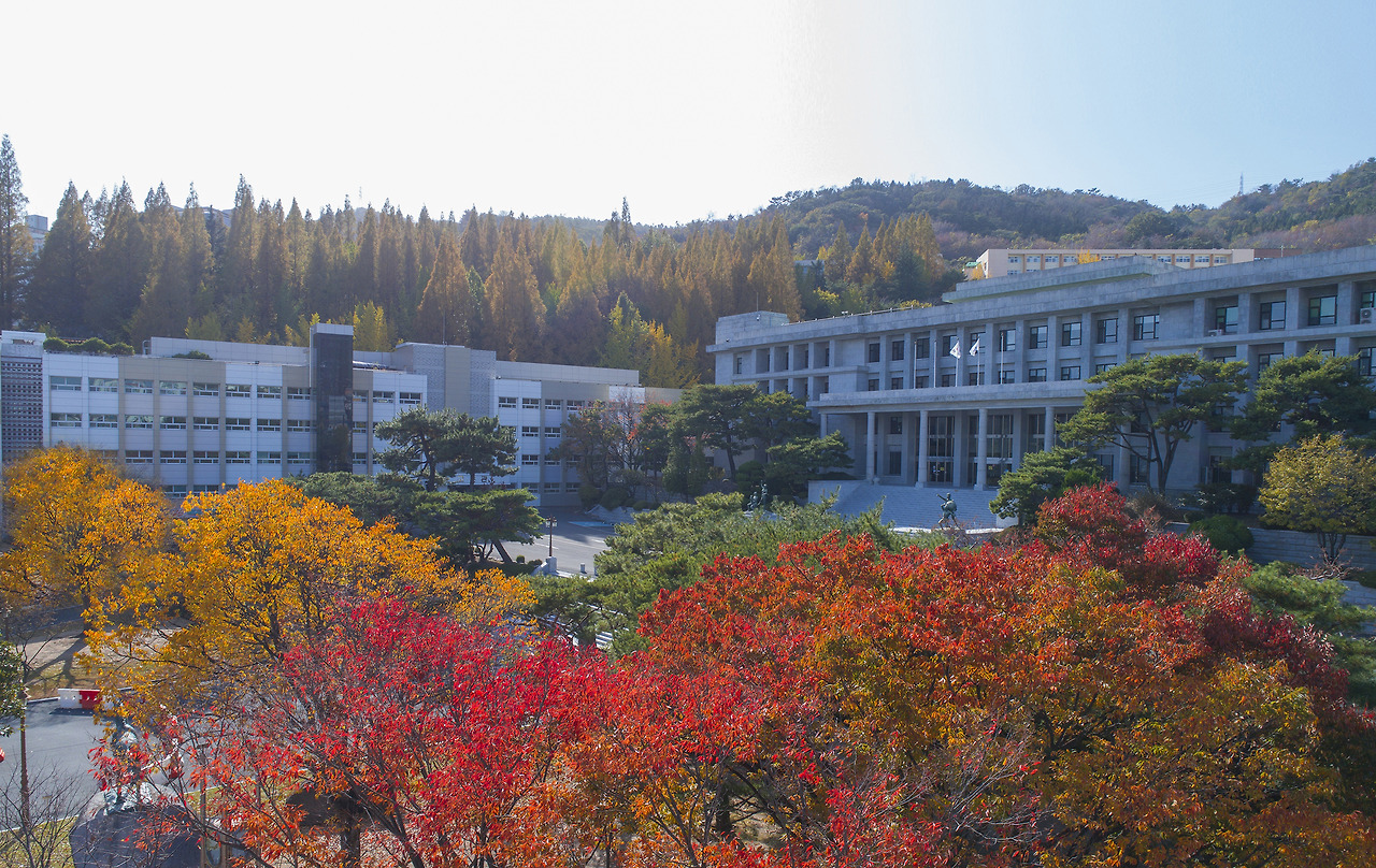 경상남도 대학 총정리 (입학처&middot;대표전화 + 바로가기) 한눈에.