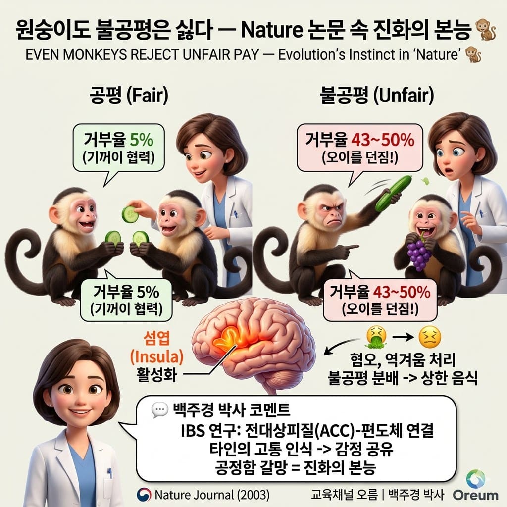 원숭이도 불공평은 싫다 - Nature 논문 속 진화의 본능 🐒 - 교육채널 오름 백주경 박사