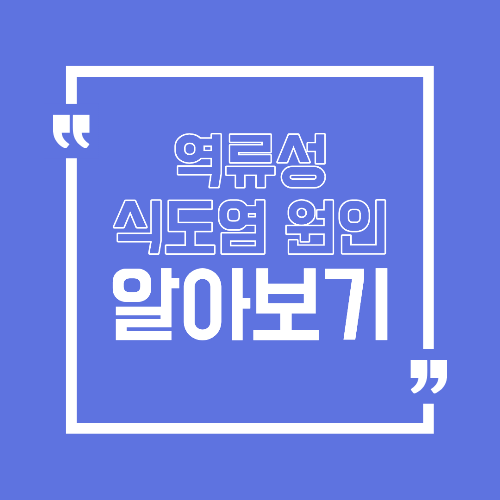 역류성 식도염 원인 식습관에서 놓치기 쉬운 부분 정리